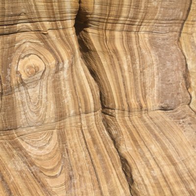 captainteabag's profile picture. 