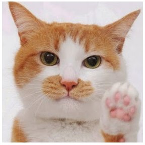 kawaiii_nyanta's profile picture. 吉原のカジュアルソープ、日暮里のチャイエス好きなおっさんです。月1回くらい出没してます。