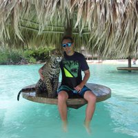 Brian M (@brianmgator) 's Twitter Profile