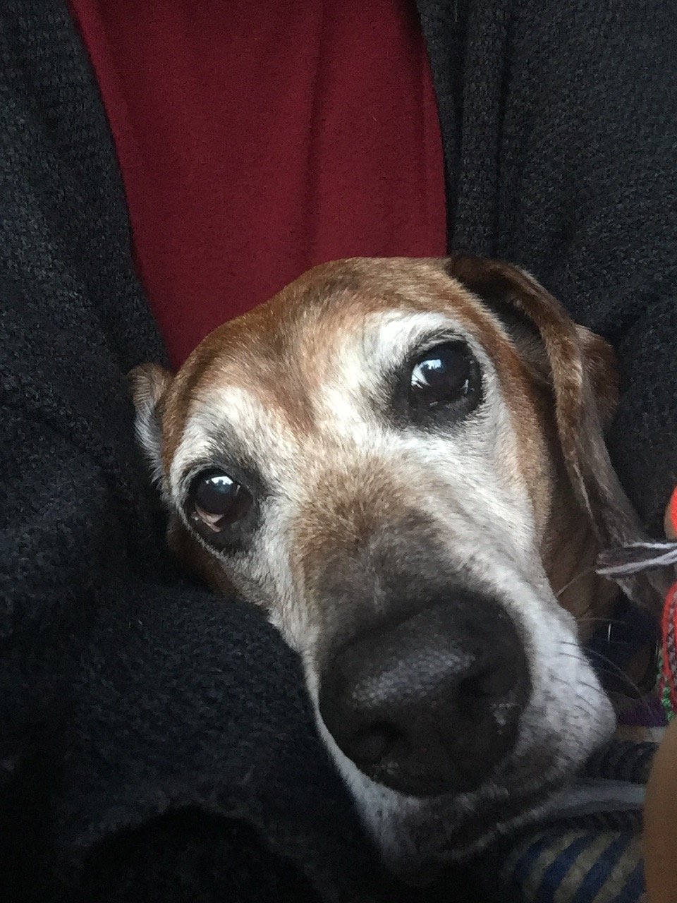 looloo55_em's profile picture. 