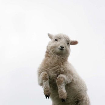 LaboremEtPati's profile picture. 