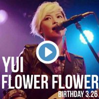 YUI flower flower CD DVD 未開封 YUI flower flower CD DVD 未
