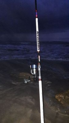 kelllk1's profile picture. .