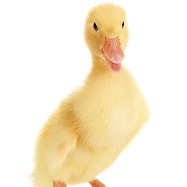 MooiWaterUK's profile picture. Experience the magic 
of Soft Water
With our range of luxury water softeners