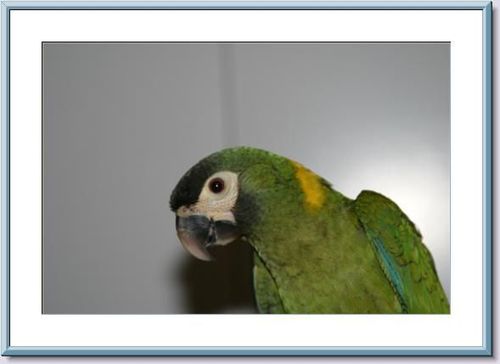 day54's profile picture. Trader/Investor/CPA/Bass Guitar Player/Photographer