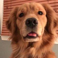 R G (@onlythekid) 's Twitter Profile