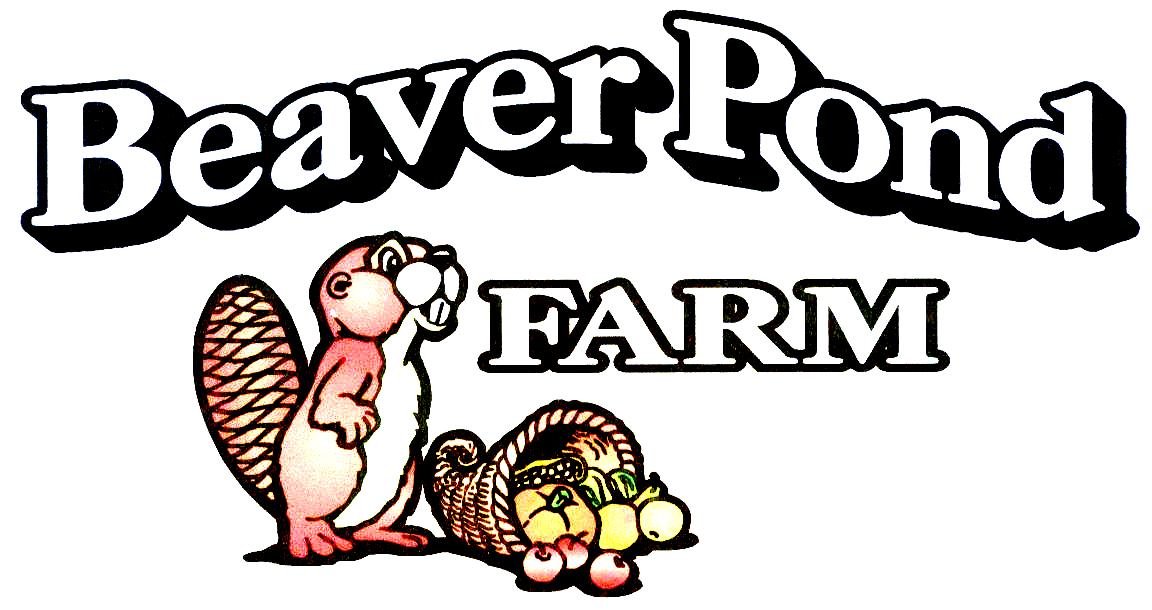 Diversified family farm: vegetables, raspberries, blueberries, apples, beef, lamb, cider, jams, pies, local foods, Christmas trees, wreaths, more!