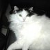Joyce E. Kinloch Mon (@jemmontalvo) Twitter profile photo Joyce E. Kinloch Mon (@jemmontalvo) Twitter profile photo