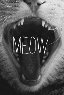 TCHSmeow's profile picture. 🐾🐾🐾🐾🐾🐾🐾🐾🐾🐾🐾🐾🐾