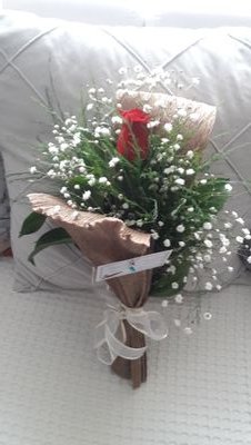 glsenulusoy's profile picture. 