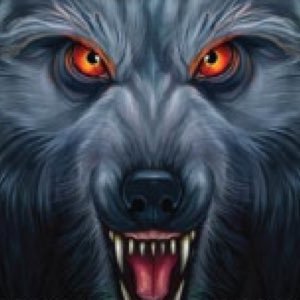 wolfpackernc Profile Picture