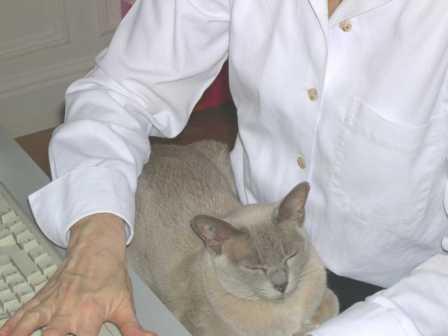 domi75P's profile picture. Teacher trying to improve her teaching and finding the web such a help.