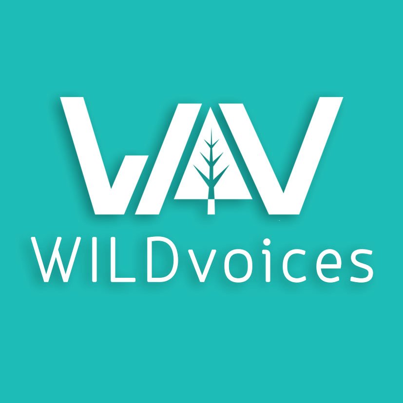 WILDvoicesmedia Profile Picture