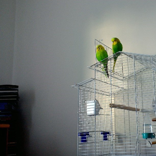 cange64's profile picture. 