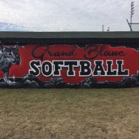 GrandBlancHSSoftball(@GB_Bobcat_SB) 's Twitter Profile Photo