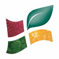AQDFL - QPMA (@aqdfl_qpma) 's Twitter Profile