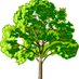 Park Hill Primary (@parkhill_cov) Twitter profile photo Park Hill Primary (@parkhill_cov) Twitter profile photo