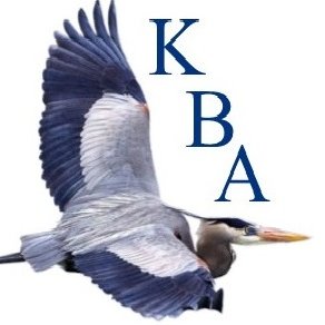 Kenmore Business Alliance (KBA) creates exposure for businesses/community, networking opportunities & connects local professionals w/civic leaders. Founded 2013