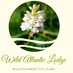 Wild Atlantic Lodge (@twalodge) Twitter profile photo Wild Atlantic Lodge (@twalodge) Twitter profile photo