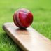 Prime Cricket Agency (@primecricagency) Twitter profile photo