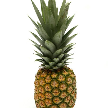 Ogre_42's profile picture. UCLA Alum, French Horn playing, liberal live your truth, great horned, cave dwelling, chocolate loving Ogre. $ogre42 (She/Her)