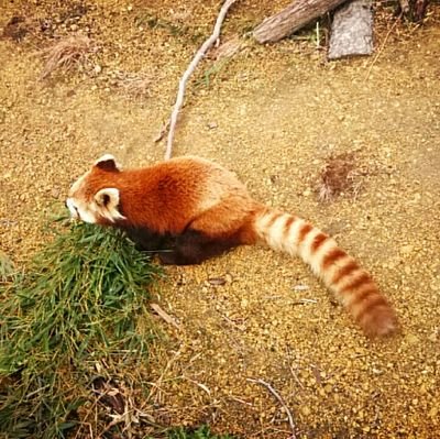 toto_11n's profile picture. https://t.co/yOXMQM9sE3