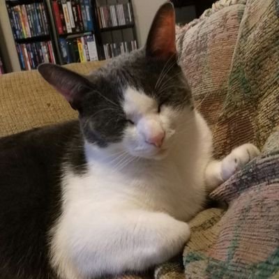 Saarinku's profile picture. Health Insurance Advisor. #Resister #Democrat #45NeverAgain #VoteBlue #BidenHarris2020