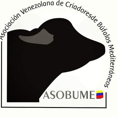 #Asociación #Venezolana de #criadores de #búfalas #mediterránea y sus mestizos correo oficial asobumed@gmail.com cuenta instagram @asobume_