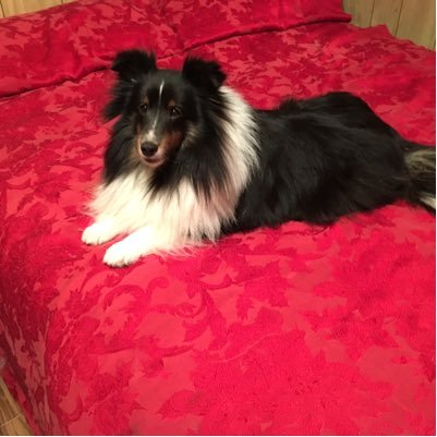 taffylulu45's profile picture. 