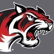 BraswellAquatics (@bengalaquatics) 's Twitter Profile