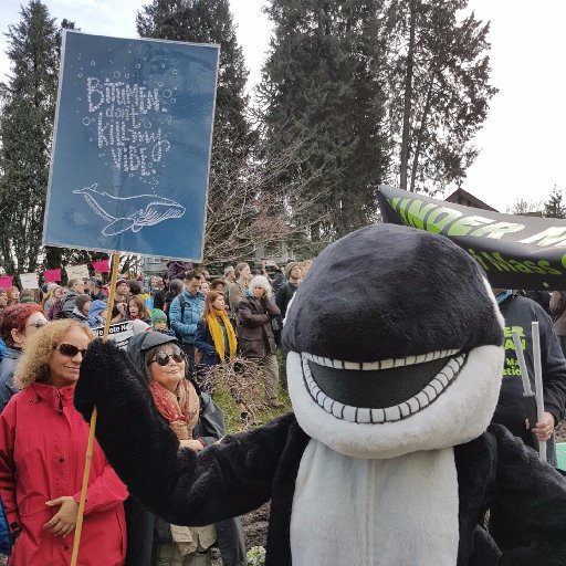 I'm saving my pod from #TransMountain's tankers! #StopTMX #Blackfish #NoTankers #ProtectTheInlet