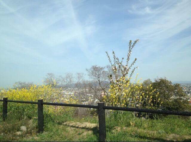 lDe5MepbRamY1yB's profile picture. 今、学校給食が大型化され民間企業にどんどん委託されています。子ども達が毎日食べる給食の安全性よりコストが優先される事は、健康に大きく影響するものと思われます。
私たちは、学校給食が危険にさらされることのないよう行政に学校給食に関する情報の開示を求め、今まで通りに保護者参画の給食作りを提案していきます。