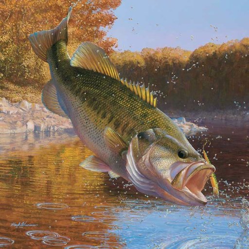 I like #fishing Probably fishing is my first passion.