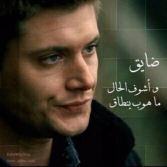 Adam016438's profile picture. 