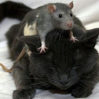 Micmac92407248's profile picture. Мешавина од убавина и мудрост,паметна и луда,сама и нервозна,авантурист сонувач да го пронајде својот пат во Големото Јаболко.🗽