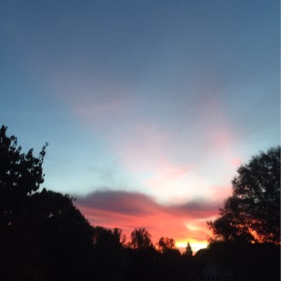 americanwon's profile picture. Make America Great Again! https://t.co/yUa2nQsmIA Trump 2024!