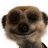 bodlondon's profile image