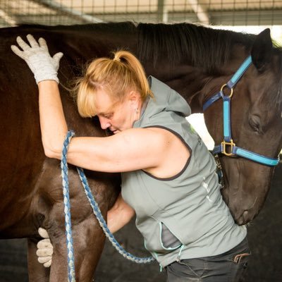 Specialising in soft tissue therapy & myofascial work 4 equine athletes, which translates to measurable benefits & results on the track. Where it counts most !
