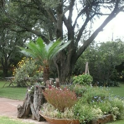 A lovely tranquil guesthouse, situated in Glen Austin, Midrand