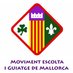 MEGM (@megm_escoltes) Twitter profile photo MEGM (@megm_escoltes) Twitter profile photo