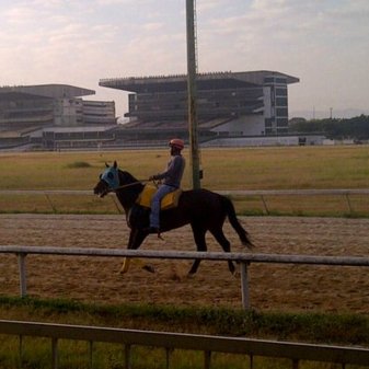 jhon_jimenez21's profile picture. @JUGASTEE eliminados de fav de gaceta hípica