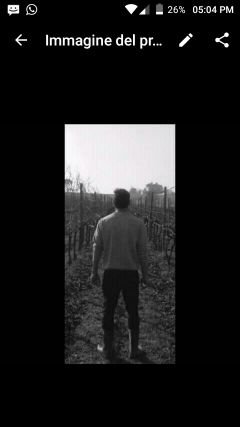 valentino_toro's profile picture. 17 anni, nuoto per i fatti miei, studente 💪,