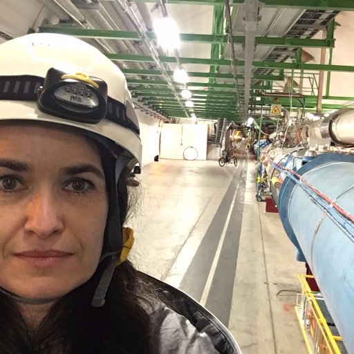 Head of Education, Comms & Outreach @CERN. Developmental neurobiologist turned #scicomm professional now discovering fascinating #particlephysics. Views my own.