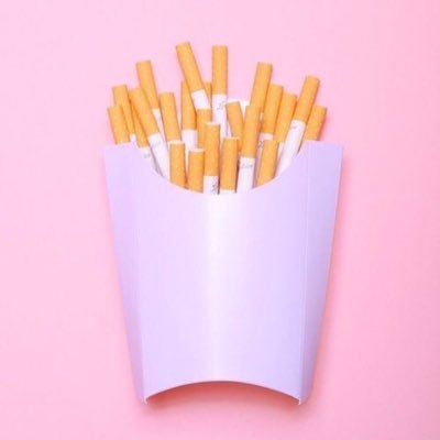 vulpeszerda12's profile picture. 200