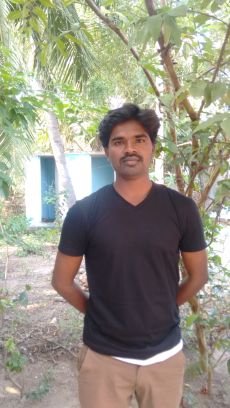 Entertainment South Indian News Breaking News Lifestyle Food Government and Politics