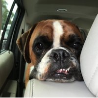 rebecca cornelius (@beccacornel) 's Twitter Profile