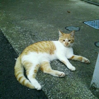 黒鉄さんのプロフィール画像
