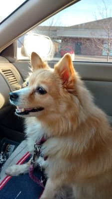 JennyandLuna's profile picture. 