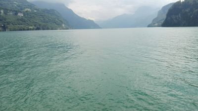 NikolaJ95533833's profile picture. Вести Политика