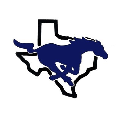 The official twitter account for the City View Lady Mustangs softball team.